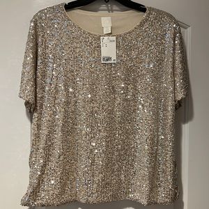 H&M Sequin Champagne Top